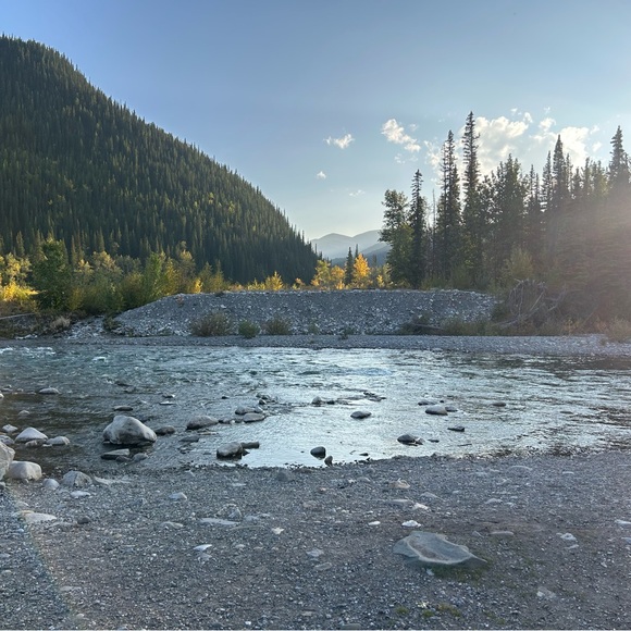 Meet your Posher, ClosetStudy - Picture 1 of 1